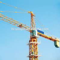 Competitive Price Small Self Climbing Tower Crane With Good Service